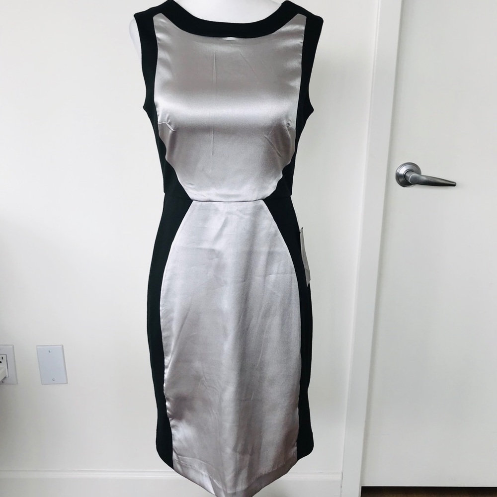THE LIMITED Silver Sheath Dress w/Black Contrast